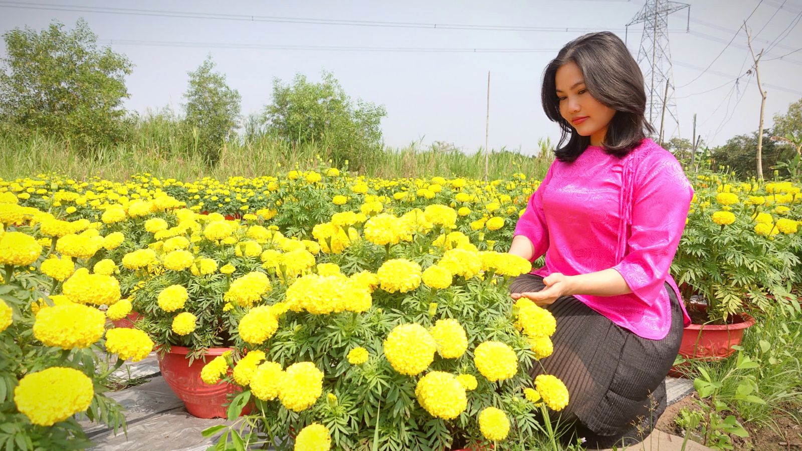 Hình hoa vạn thọ