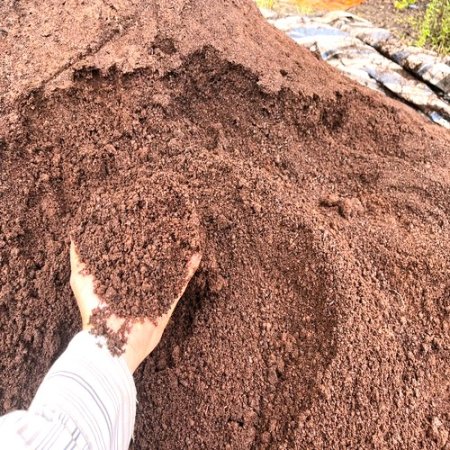 ĐẤT SẠCH HỮU CƠ CAO CẤP