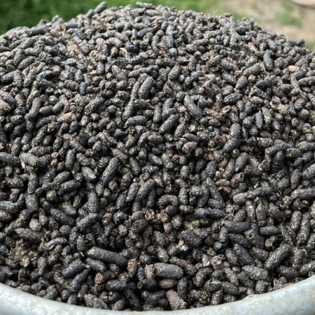 PHÂN DƠI CAO CẤP